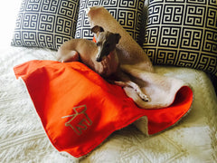 Canvas Fleece Dog Blanket